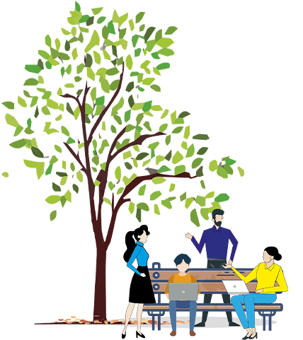 tree in a park